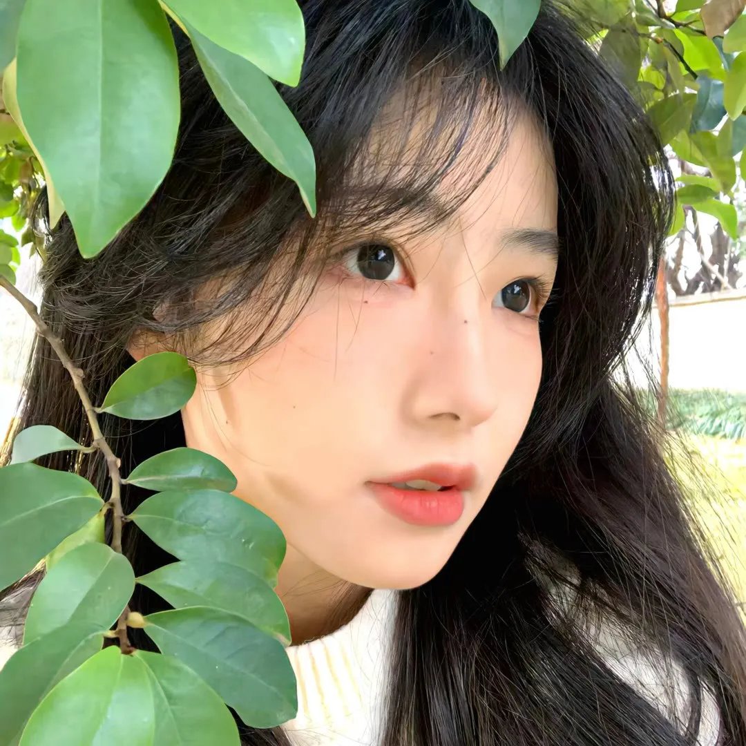 青春未央之舞·梦封面